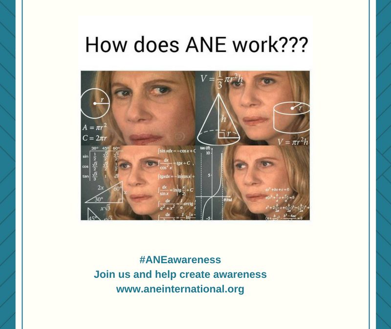 Understanding ANE